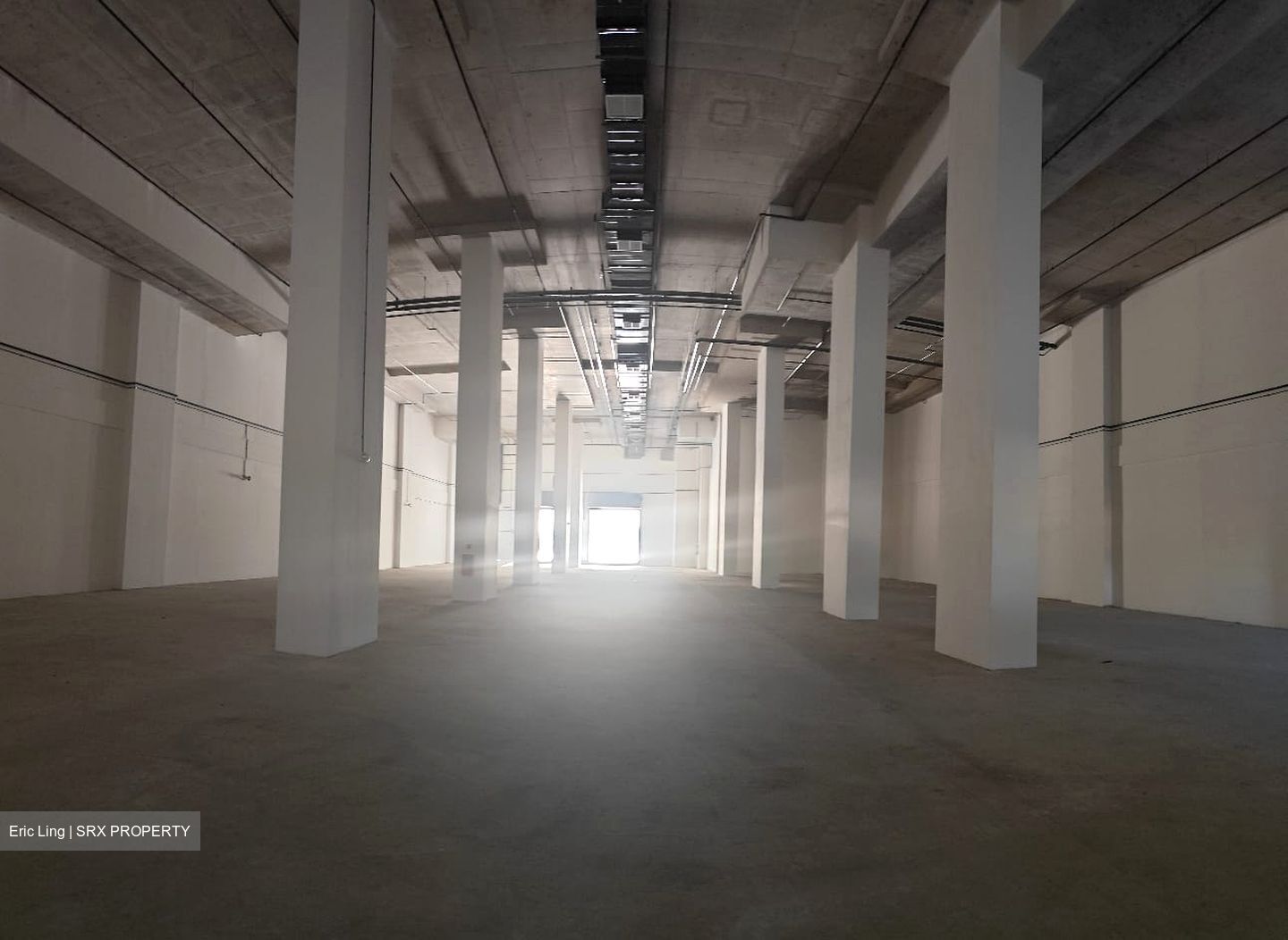 FOOD ASCENT (D22), Warehouse #535850411